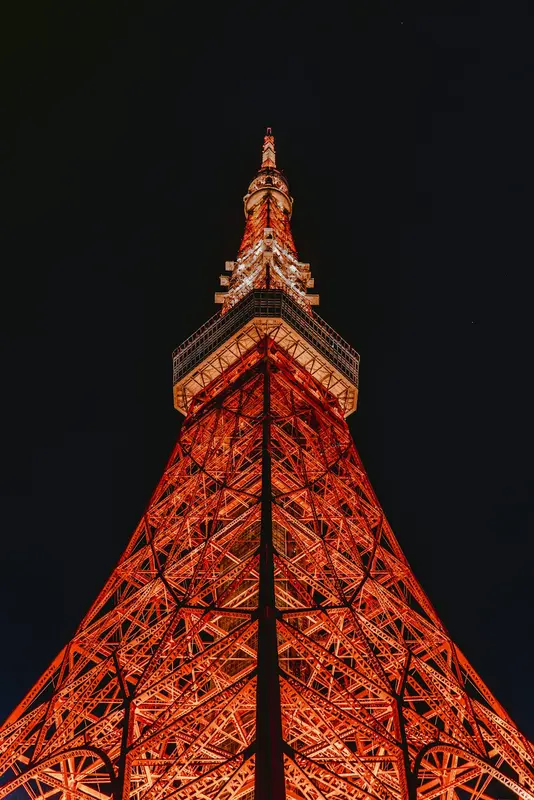 Sandra.Tokyo Premium Domain